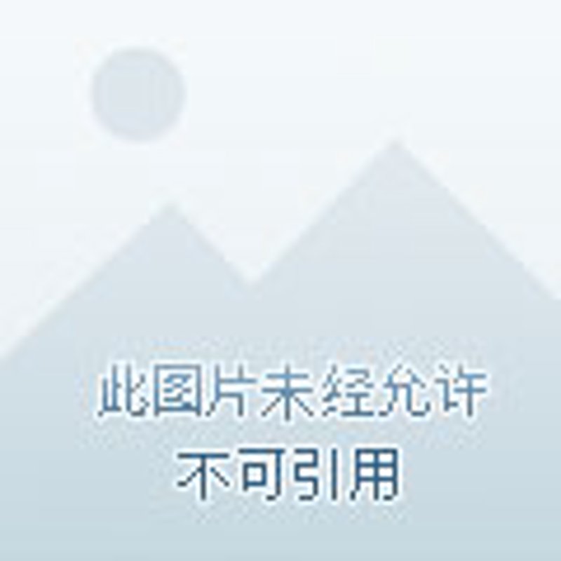 工具推荐类：酒后代驾服务比较，助您安全回家