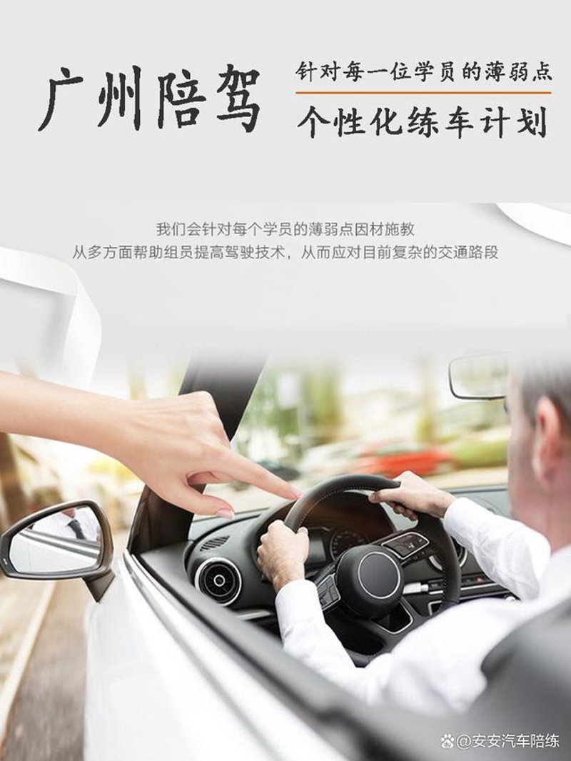 新手陪驾